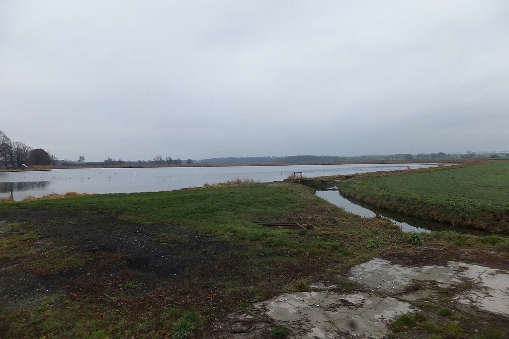 W gospodarstwie rybackim w Niedźwiedzicach gotowi do świąt
