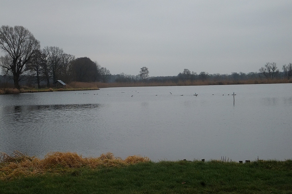W gospodarstwie rybackim w Niedźwiedzicach gotowi do świąt