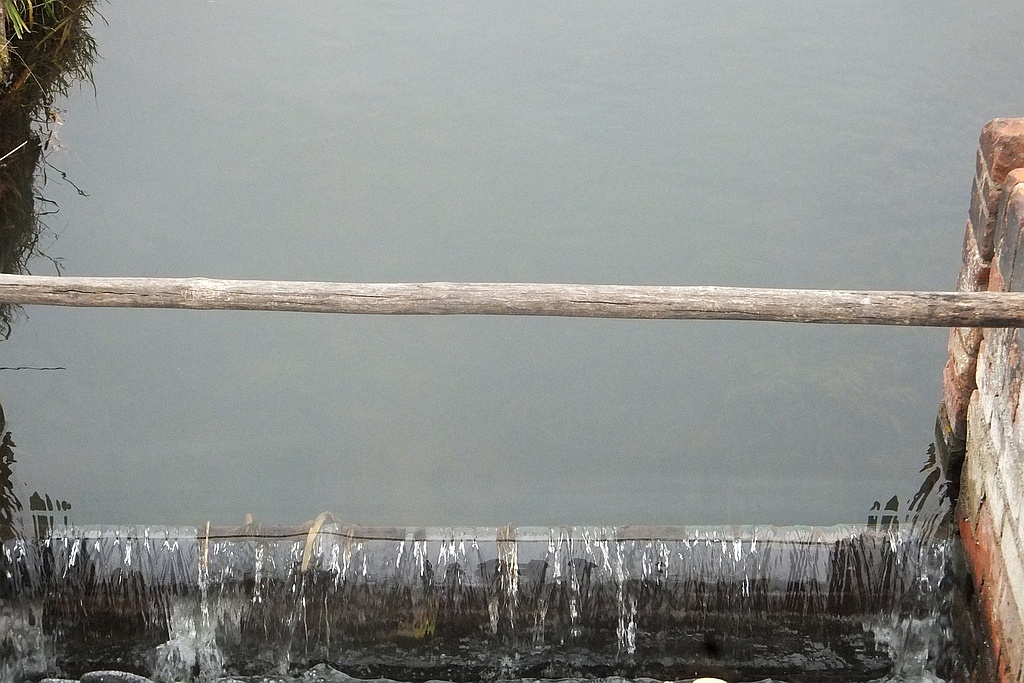 W gospodarstwie rybackim w Niedźwiedzicach gotowi do świąt