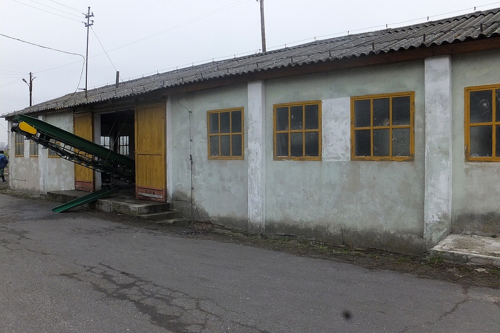 W gospodarstwie rybackim w Niedźwiedzicach gotowi do świąt