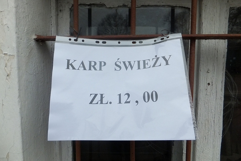 W gospodarstwie rybackim w Niedźwiedzicach gotowi do świąt