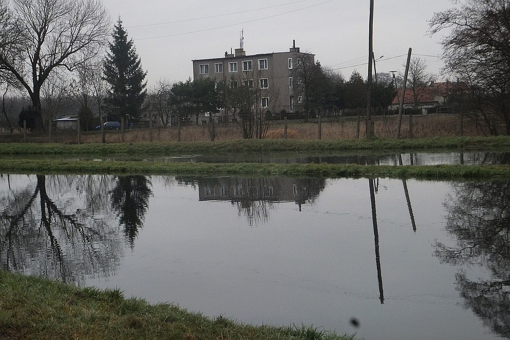 W gospodarstwie rybackim w Niedźwiedzicach gotowi do świąt