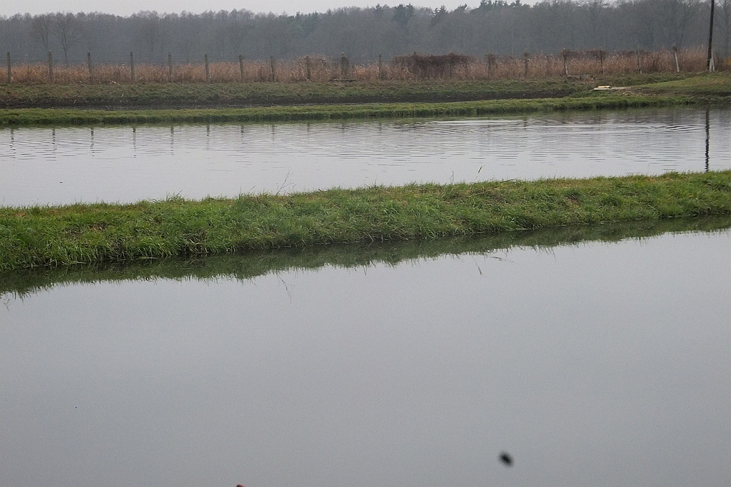 W gospodarstwie rybackim w Niedźwiedzicach gotowi do świąt