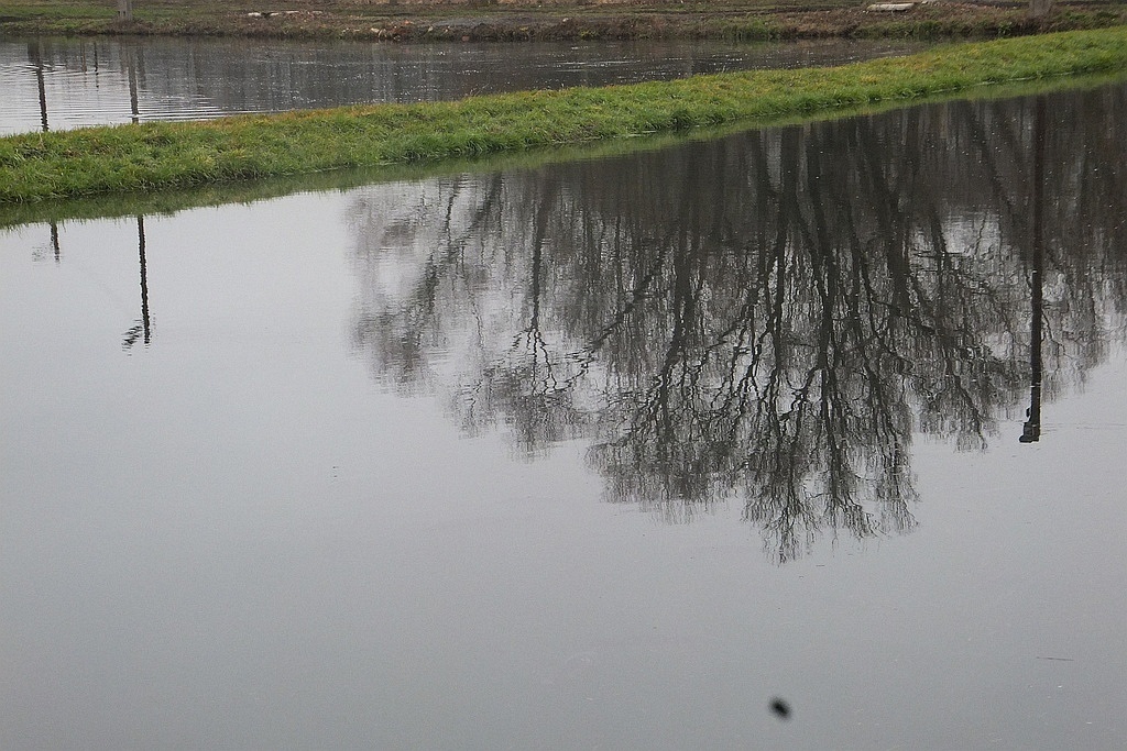 W gospodarstwie rybackim w Niedźwiedzicach gotowi do świąt