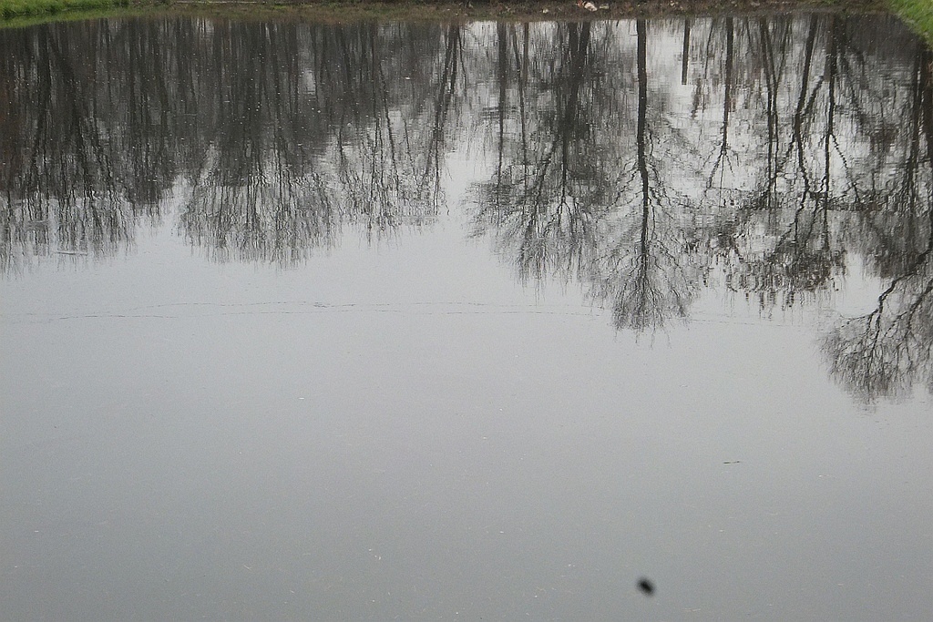 W gospodarstwie rybackim w Niedźwiedzicach gotowi do świąt