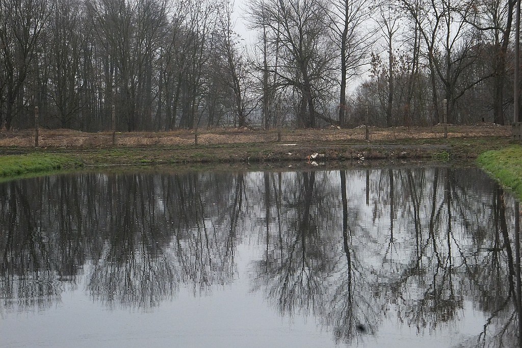 W gospodarstwie rybackim w Niedźwiedzicach gotowi do świąt