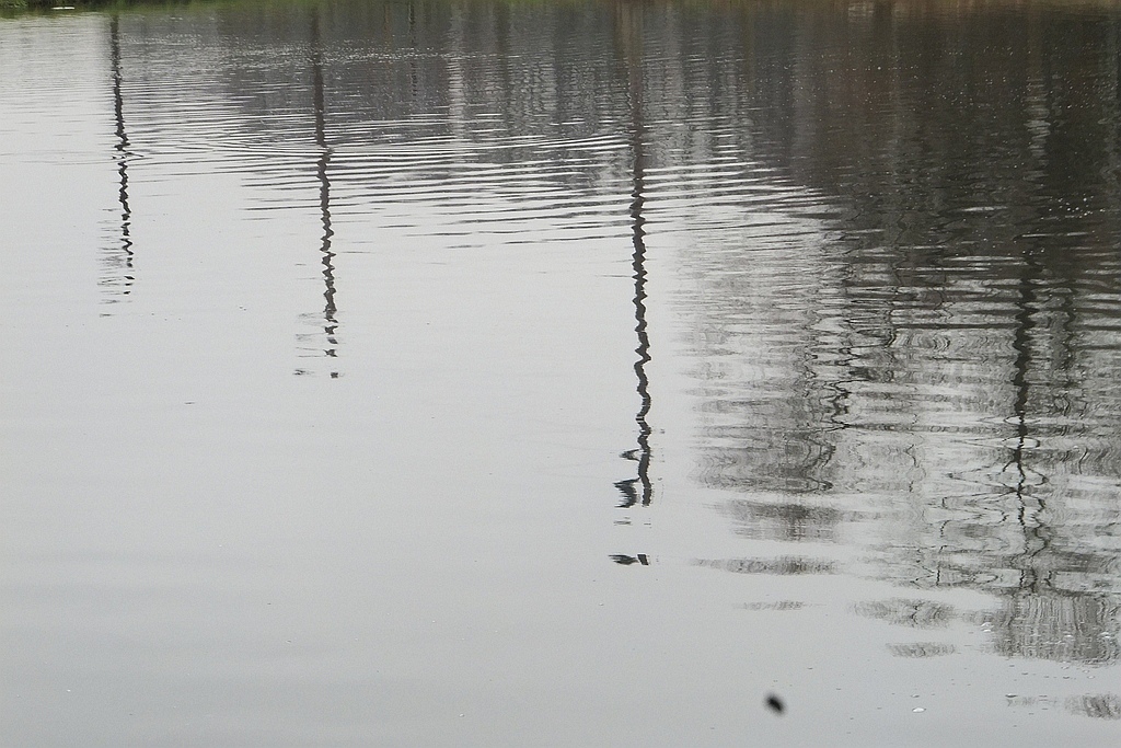 W gospodarstwie rybackim w Niedźwiedzicach gotowi do świąt