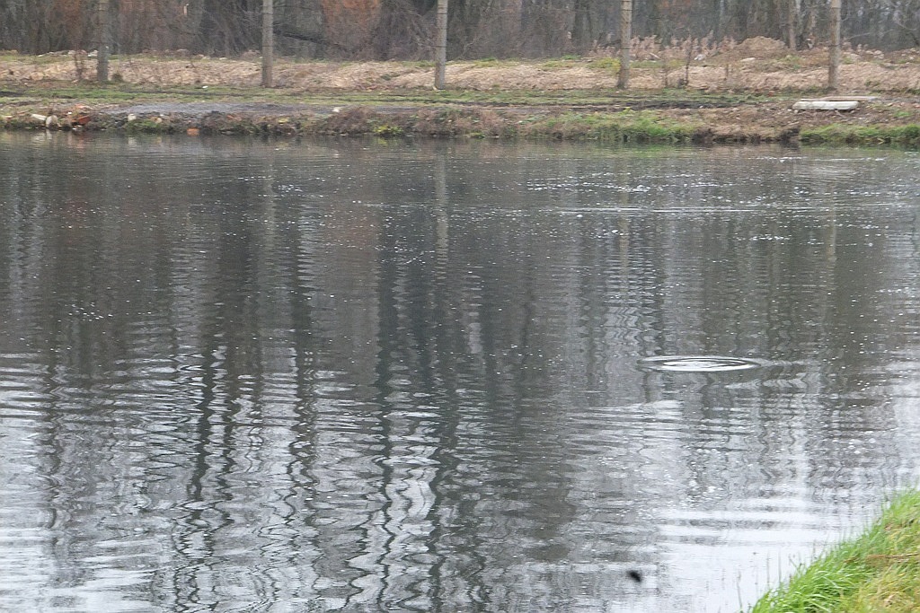 W gospodarstwie rybackim w Niedźwiedzicach gotowi do świąt