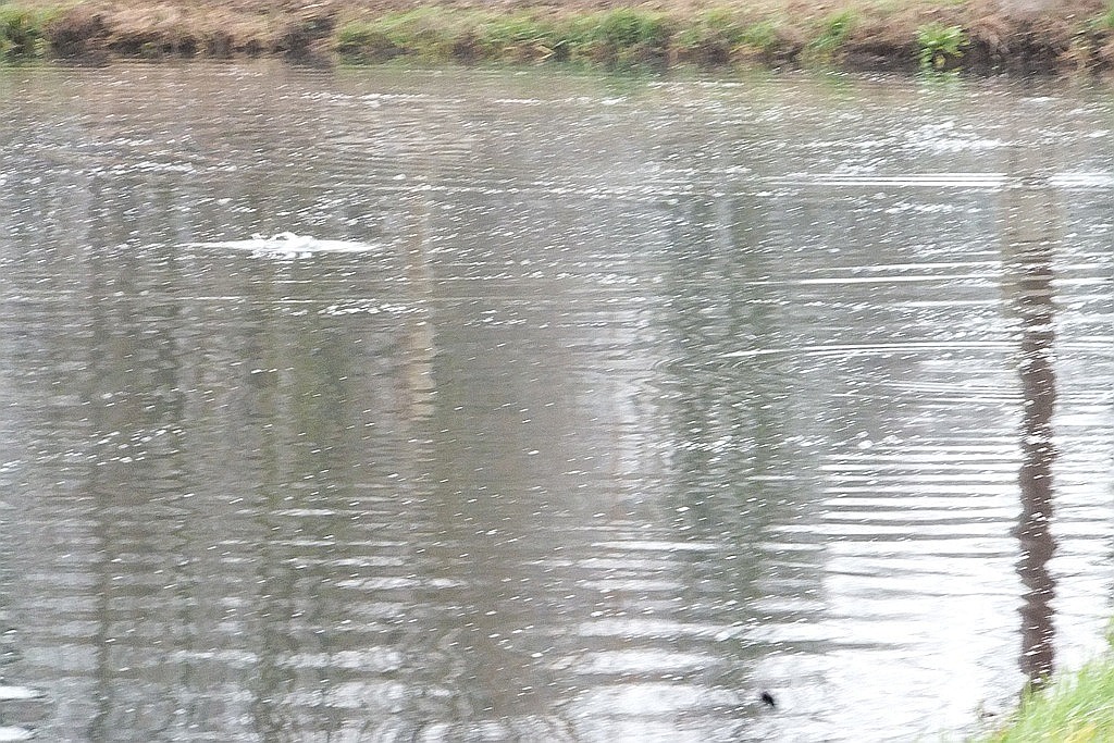W gospodarstwie rybackim w Niedźwiedzicach gotowi do świąt