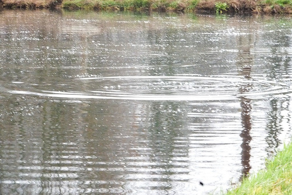 W gospodarstwie rybackim w Niedźwiedzicach gotowi do świąt