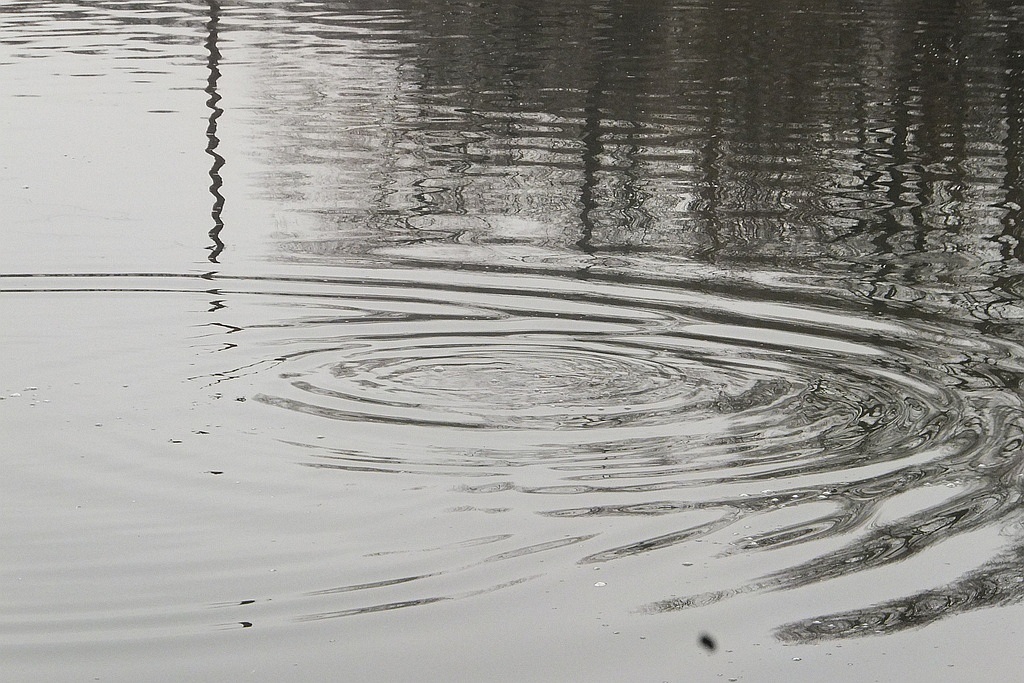 W gospodarstwie rybackim w Niedźwiedzicach gotowi do świąt