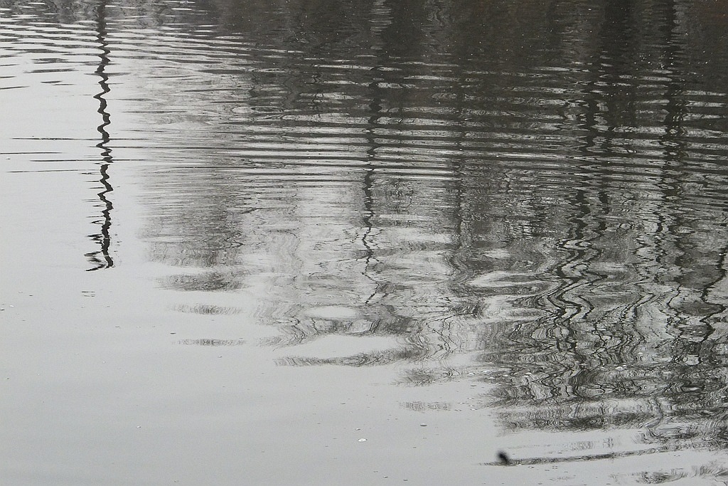 W gospodarstwie rybackim w Niedźwiedzicach gotowi do świąt