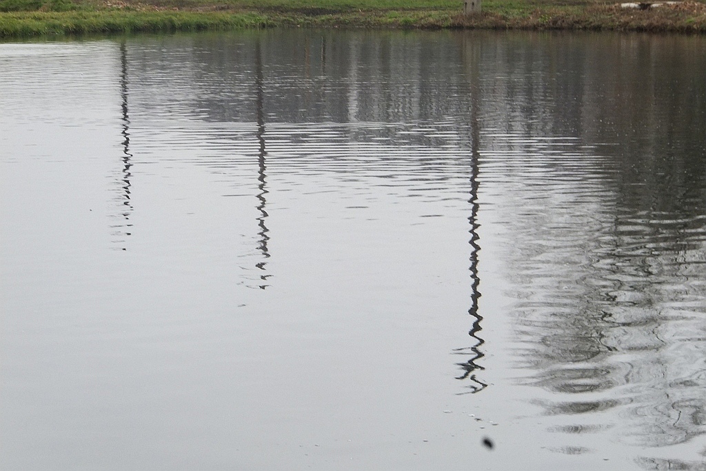 W gospodarstwie rybackim w Niedźwiedzicach gotowi do świąt