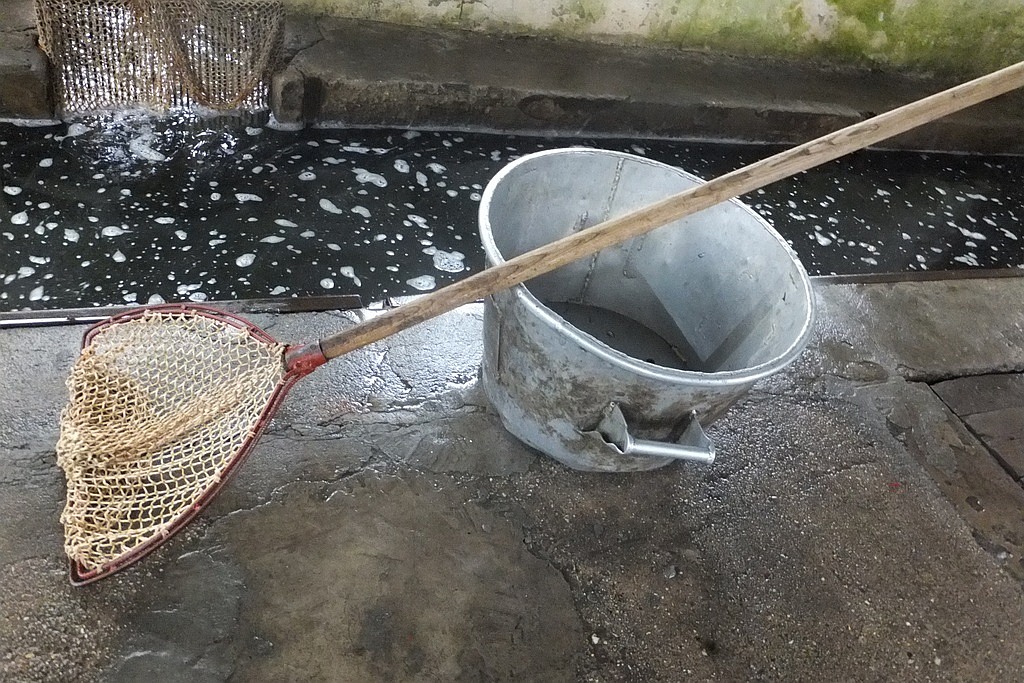 W gospodarstwie rybackim w Niedźwiedzicach gotowi do świąt