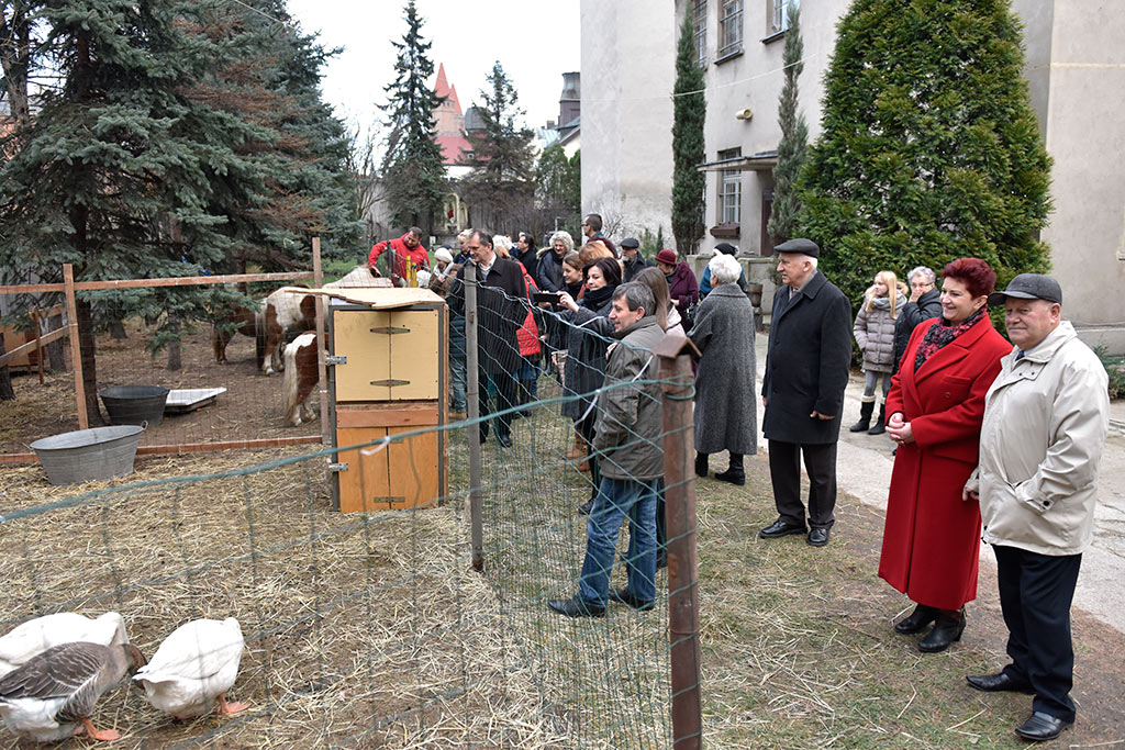 Piękne szopki bożonarodzeniowe w legnickich kościołach cz.1