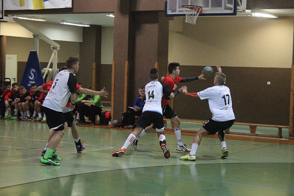 Derby Legnicy dla młodych piłkarzy ręcznych Siódemki Miedź