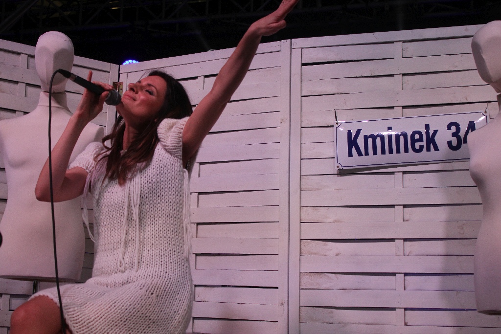 WOŚP:Kminek, Nocne Boogie i WHY na scenie Galerii Piastów