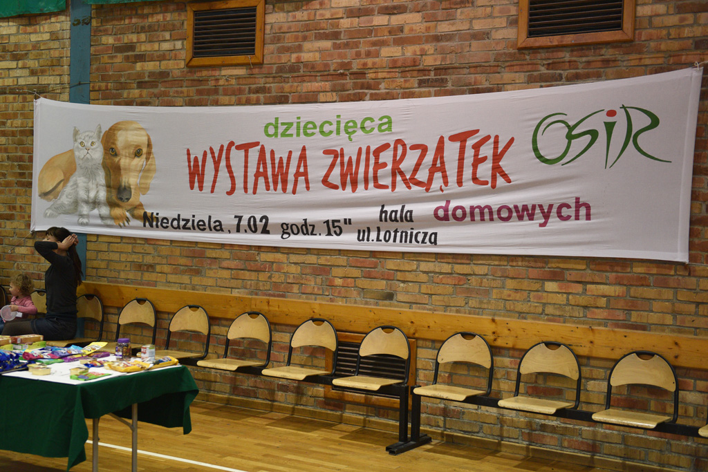 W hali przy ulicy Lotniczej dzieci prezentowały swoje zwierzaki