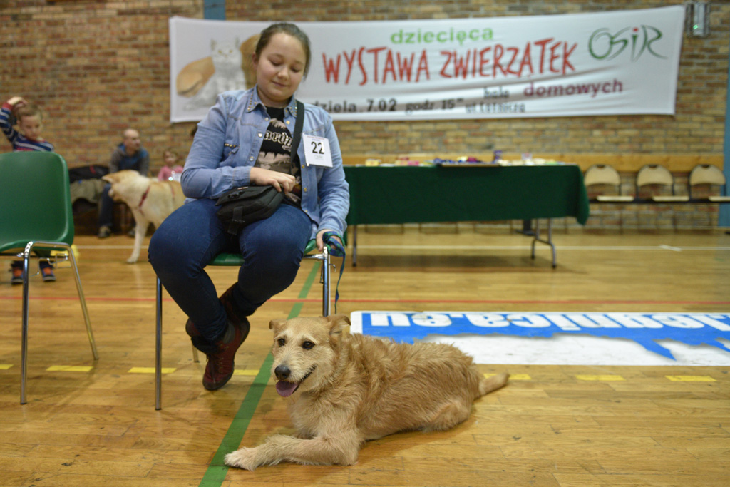 W hali przy ulicy Lotniczej dzieci prezentowały swoje zwierzaki