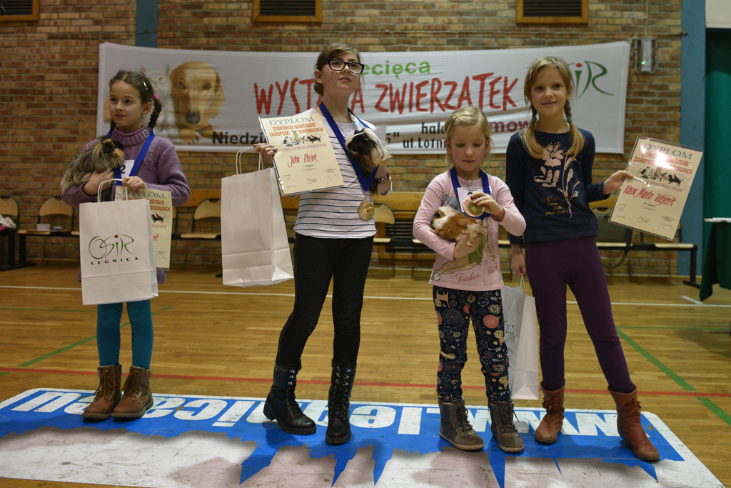 W hali przy ulicy Lotniczej dzieci prezentowały swoje zwierzaki