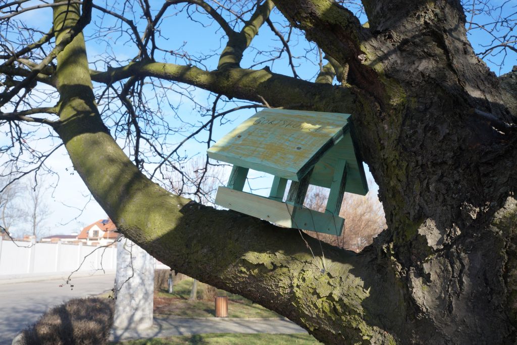 Troje zagranicznych wolontariuszy przebywa w gminie Kunice