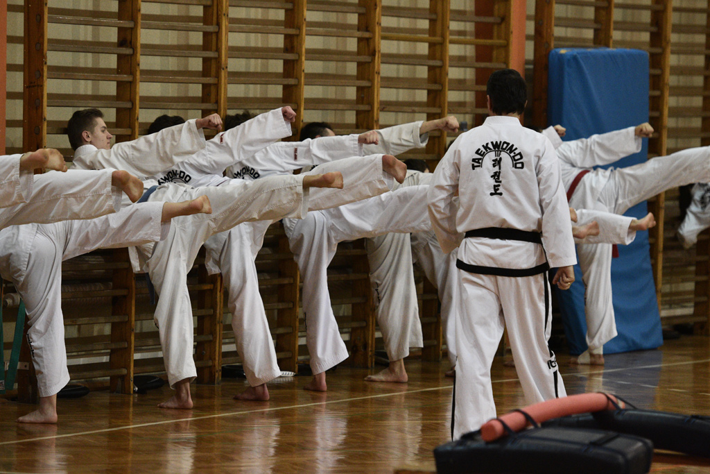 Taekwondocy LKT Legnica szlifują formę na nowy sezon