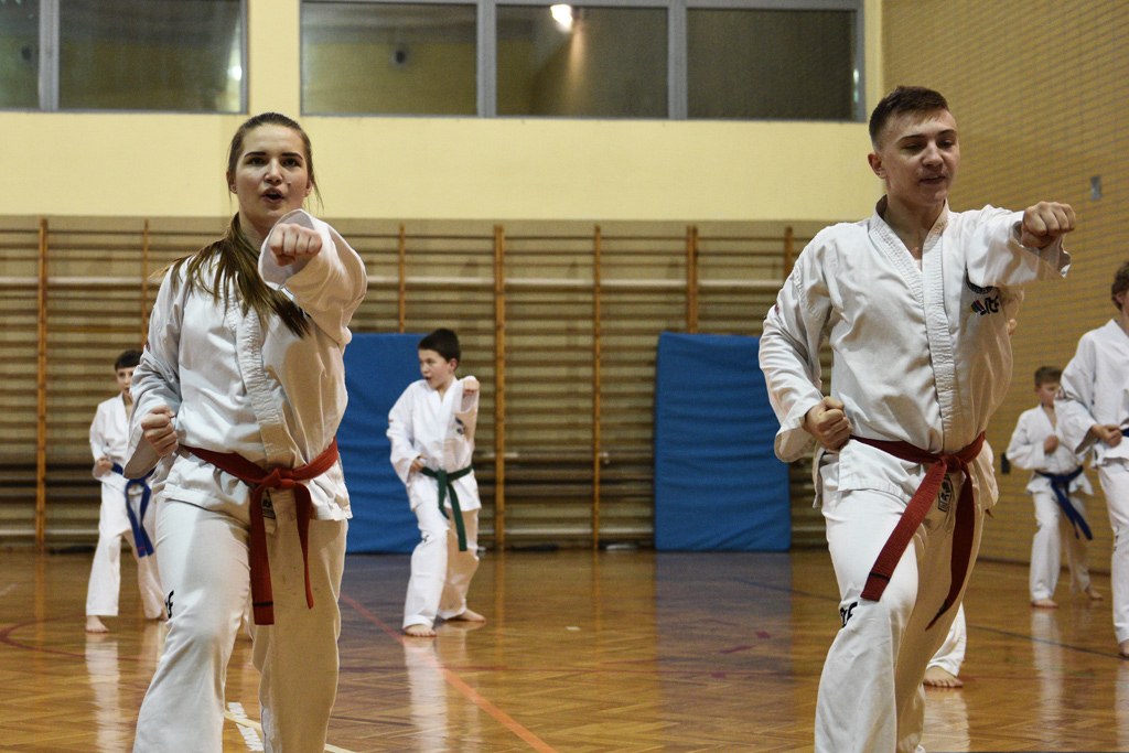 Taekwondocy LKT Legnica szlifują formę na nowy sezon