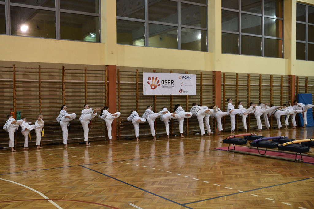 Taekwondocy LKT Legnica szlifują formę na nowy sezon