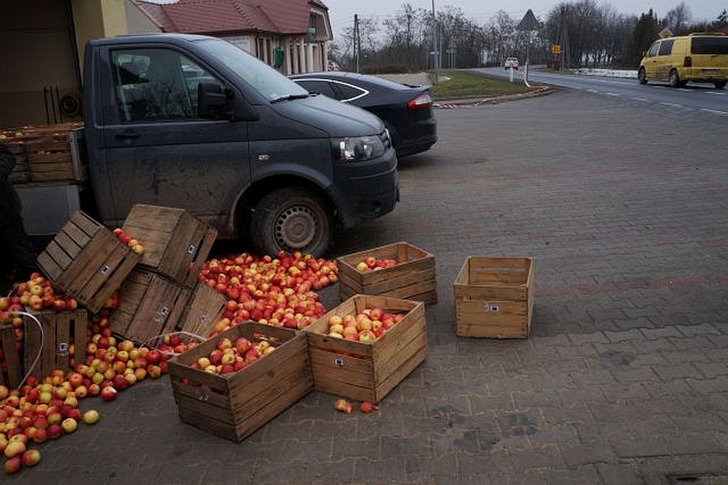 Mieszkańcy Kunic otrzymali za darmo kilogramy jabłek