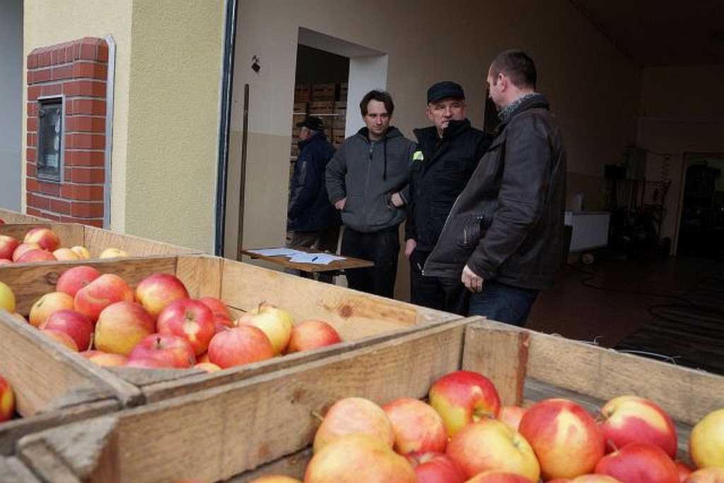 Mieszkańcy Kunic otrzymali za darmo kilogramy jabłek