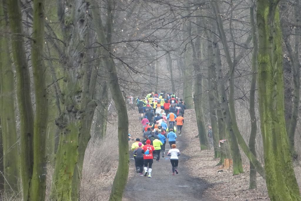 Legnicki etap Biegowego Grand Prix Zagłębia Miedziowego za nami