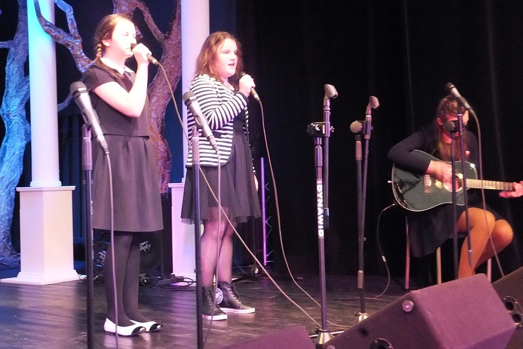 Walczyli o występ na Przeglądzie Piosenki i Pieśni Patriotycznej