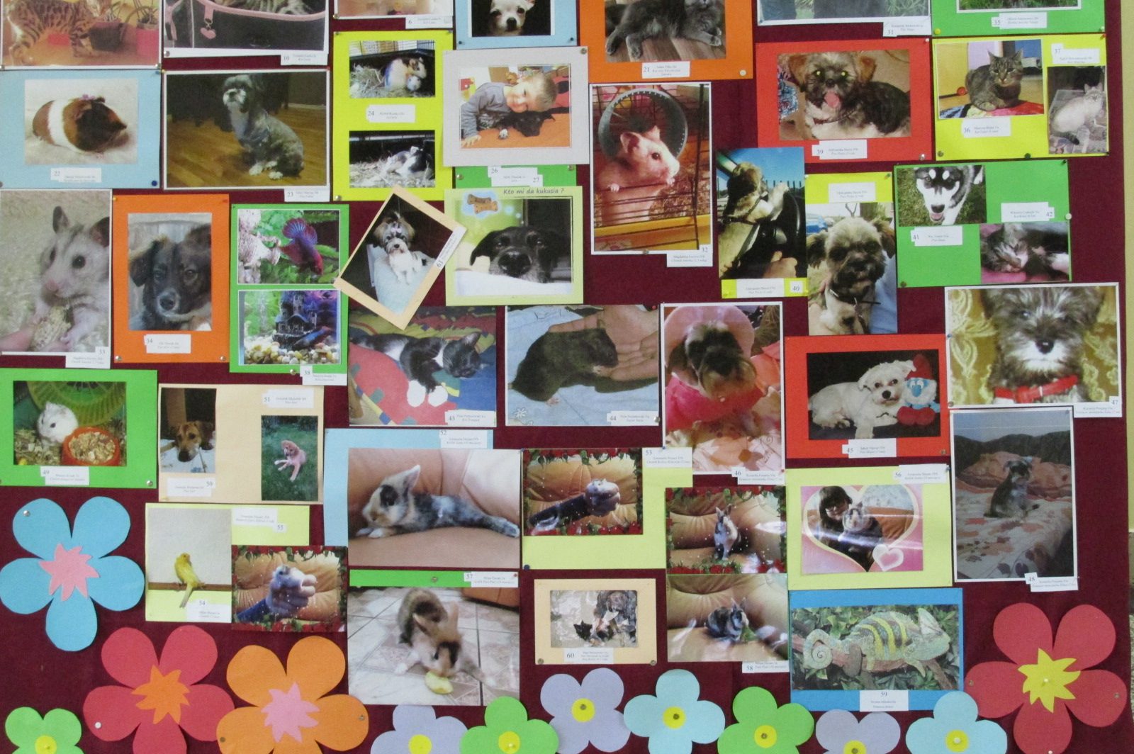 Dzień Otwartych Drzwi w Szkole Podstawowej nr 6 w Legnicy