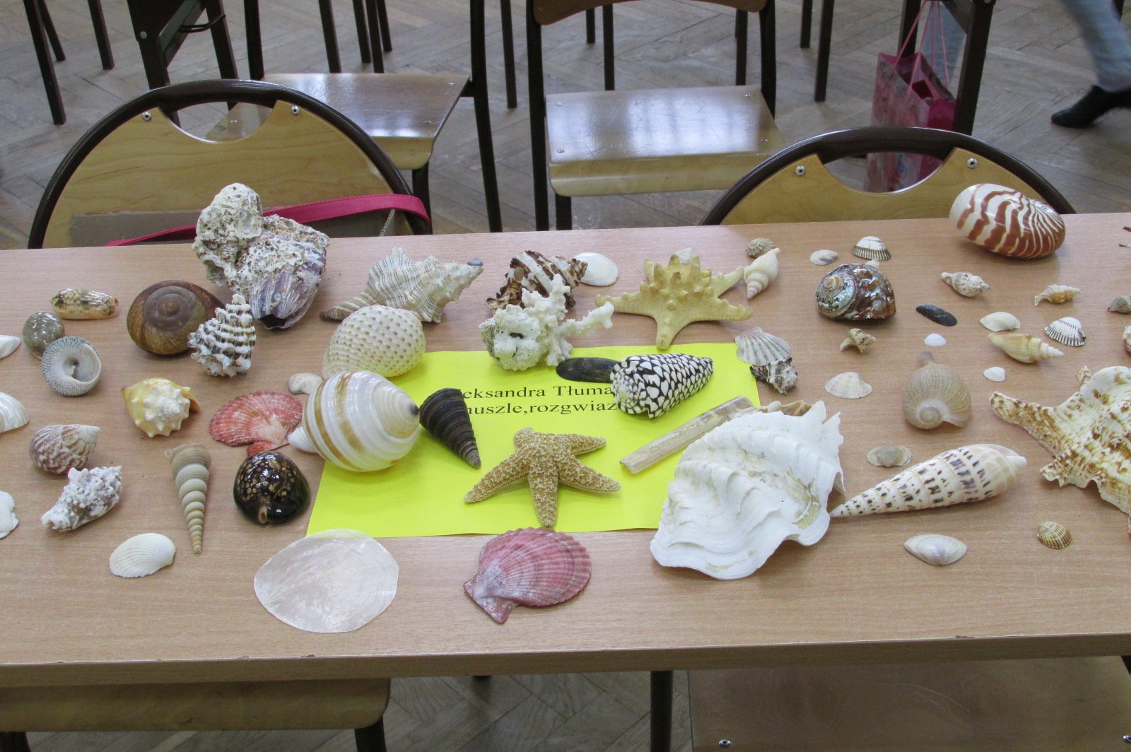 Dzień Otwartych Drzwi w Szkole Podstawowej nr 6 w Legnicy