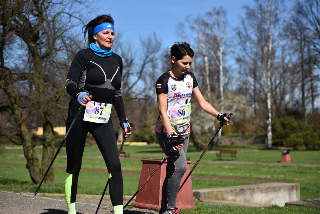 W parku odbyły się mistrzostwa Legnicy w nordic walking