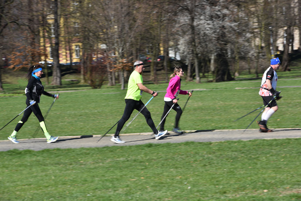 W parku odbyły się mistrzostwa Legnicy w nordic walking