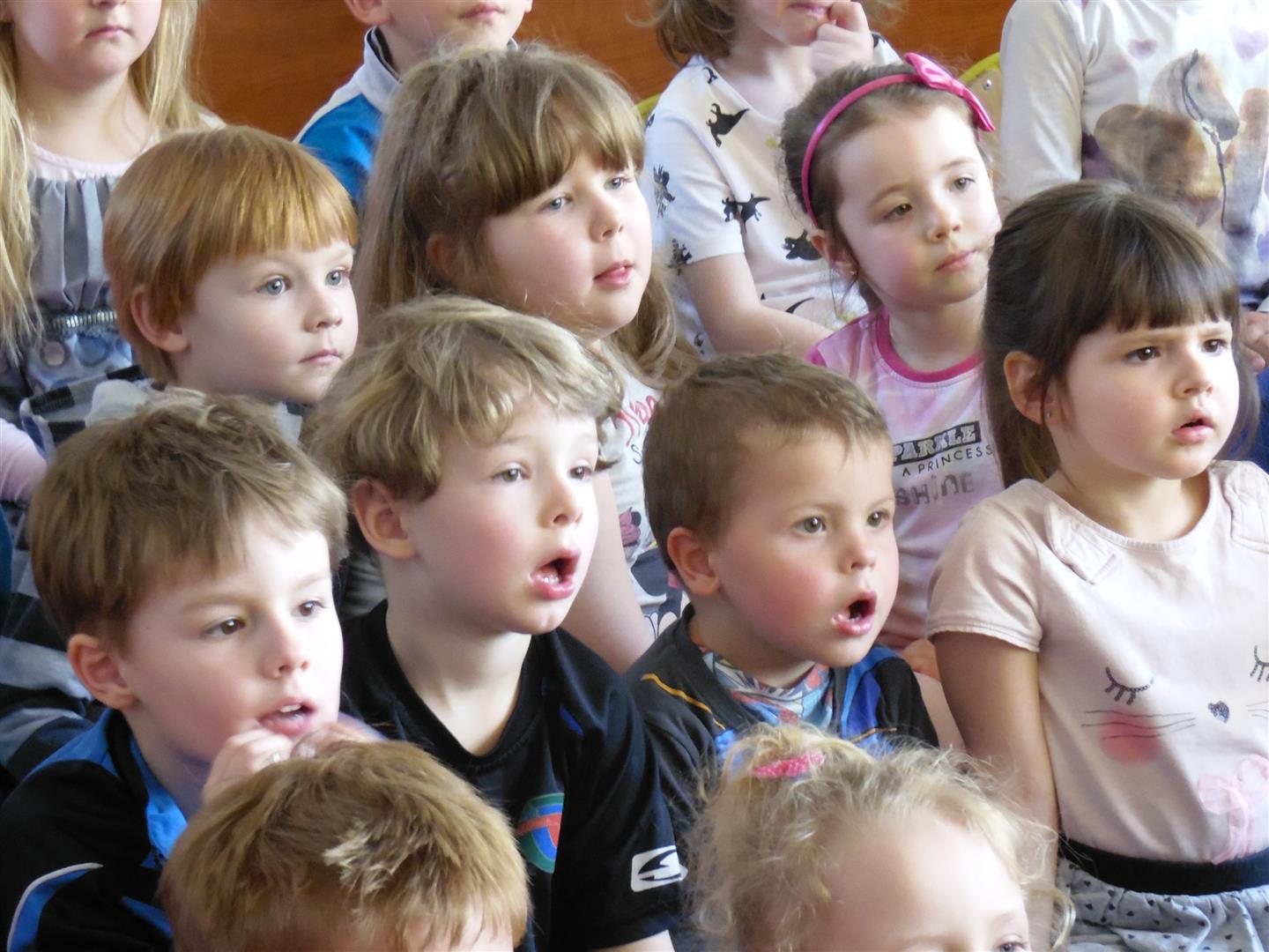 Festiwal Talentów w Przedszkolu Niepublicznym Źródełko