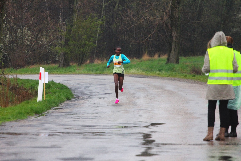 Czternasty kilometr półmaratonu szlakiem Bitwy pod Legnicą