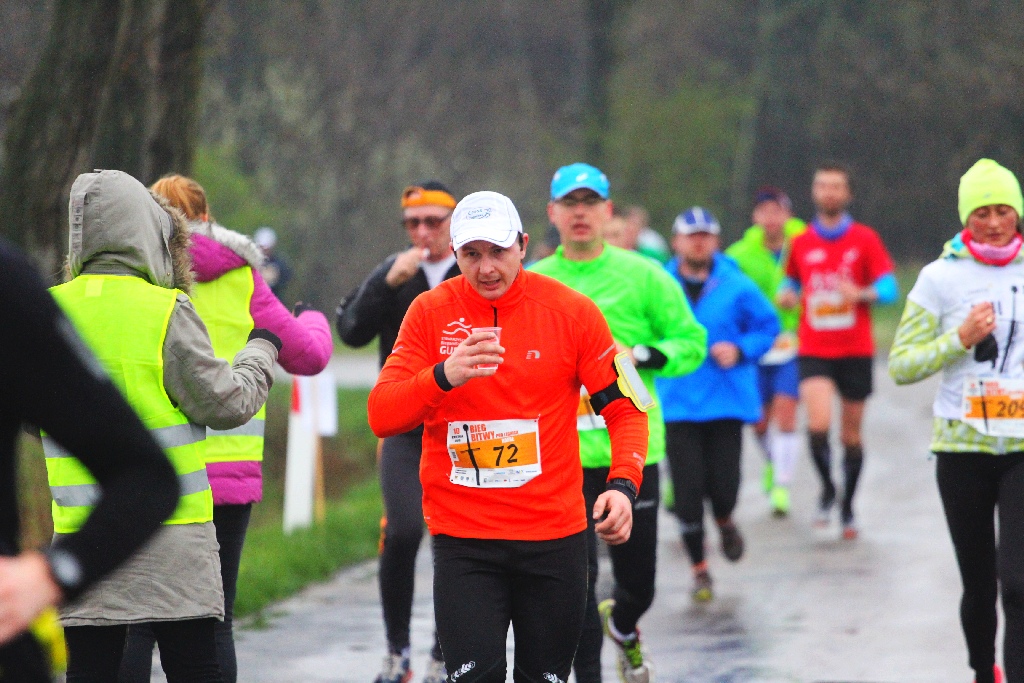 Czternasty kilometr półmaratonu szlakiem Bitwy pod Legnicą