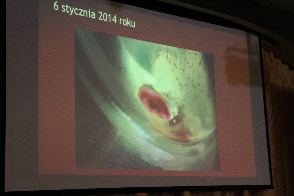 Komisja diecezjalna omówiła cud w legnickim kościele św. Jacka