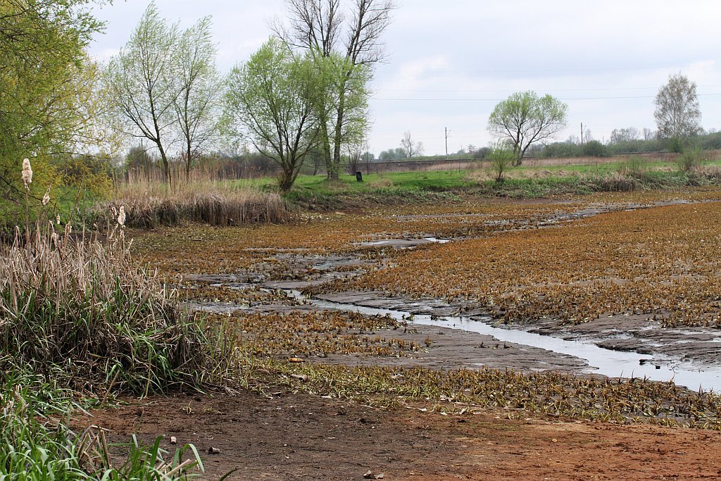 Spuścili wodę z kąpieliska Kormoran, bo będą czyścić dno