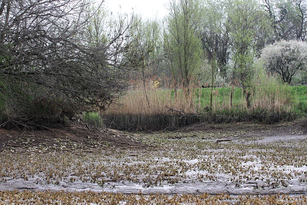 Spuścili wodę z kąpieliska Kormoran, bo będą czyścić dno