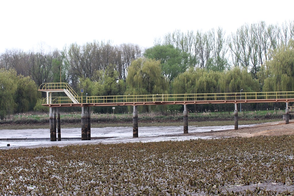 Spuścili wodę z kąpieliska Kormoran, bo będą czyścić dno