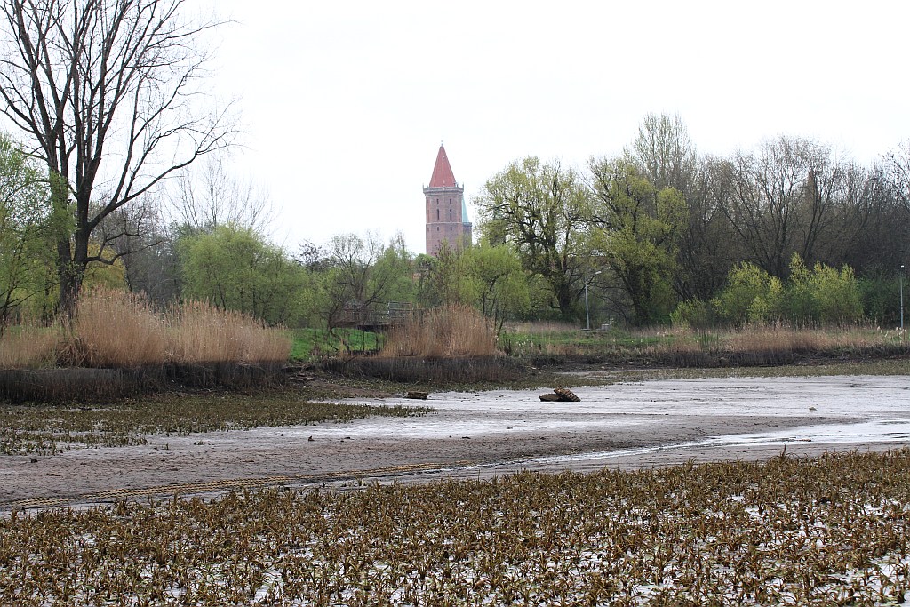 Spuścili wodę z kąpieliska Kormoran, bo będą czyścić dno