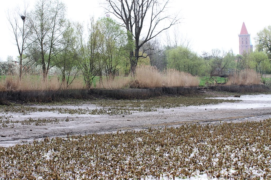 Spuścili wodę z kąpieliska Kormoran, bo będą czyścić dno
