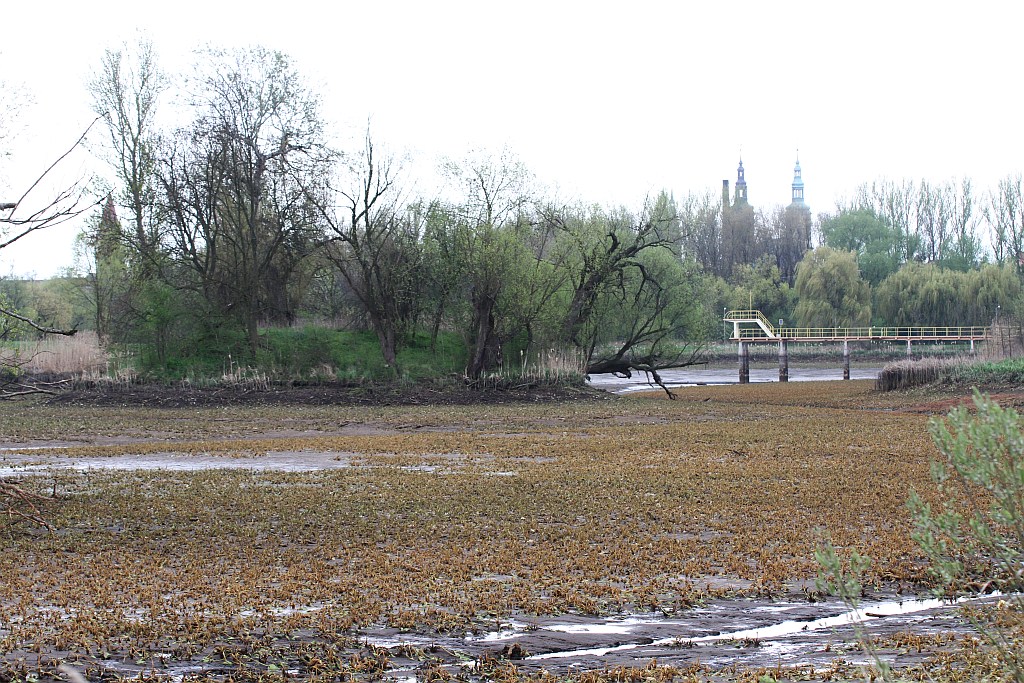 Spuścili wodę z kąpieliska Kormoran, bo będą czyścić dno