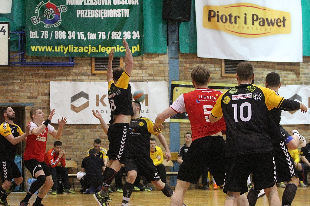 Pewne zwycięstwo piłkarzy ręcznych Siódemki Miedź Legnica