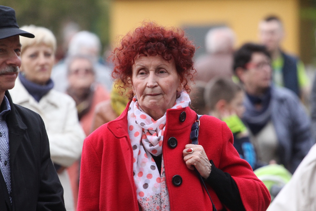 Legnicka Majówka. W muszli koncertowej śpiewano i tańczono