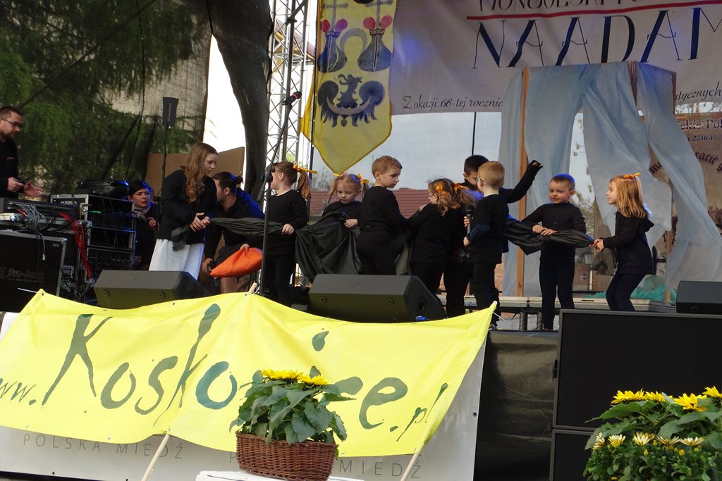 W Legnickim Polu rozpoczął się dwudniowy Piknik Historyczny