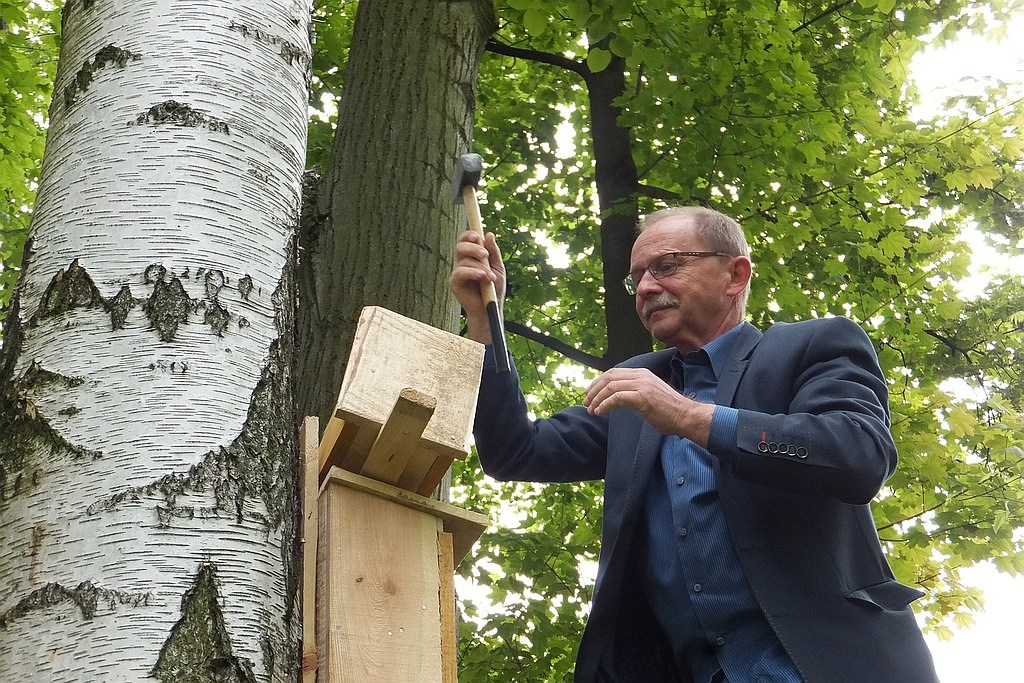 W Parku Miejskim zamontowano budki lęgowe dla nietoperzy